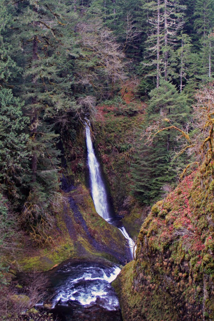 Loowit Falls on the Eagle Creek trail